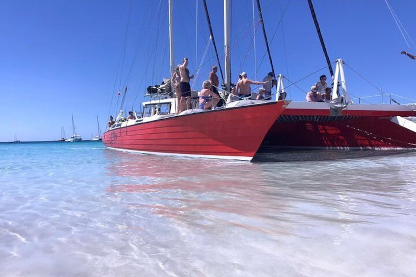 Barbados Catamaran Turtle and Shipwreck Snorkeling Cruise