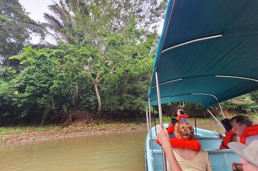 Gatun Lake in the Panama Canal