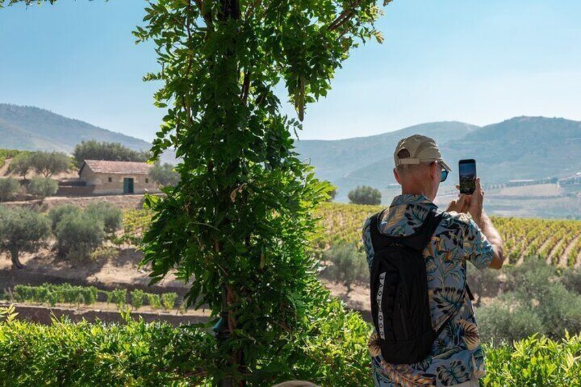 Complete Douro Valley Wine Tour with Lunch, Wine Tastings and River Cruise