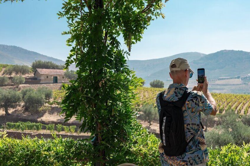 Complete Douro Valley Wine Tour with Lunch, Wine Tastings and River Cruise