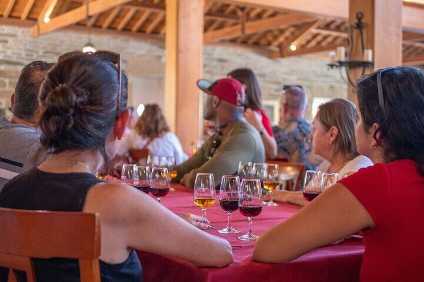 Complete Douro Valley Wine Tour with Lunch, Wine Tastings and River Cruise