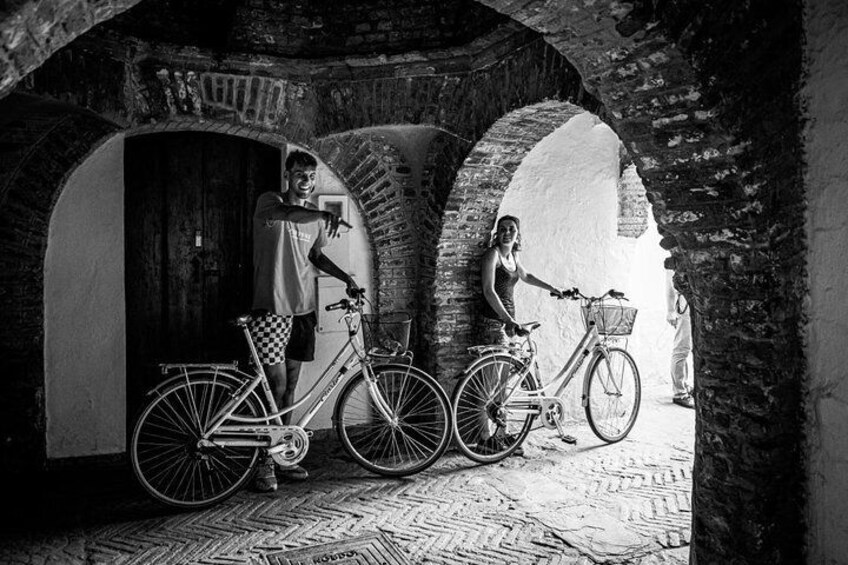 Seville Highlights Bike Tour (English)