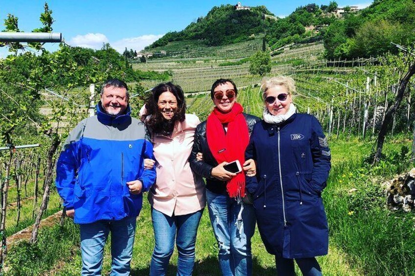 The vineyards