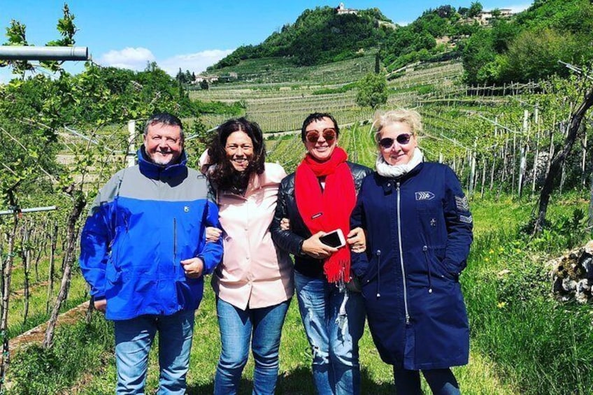 The vineyards