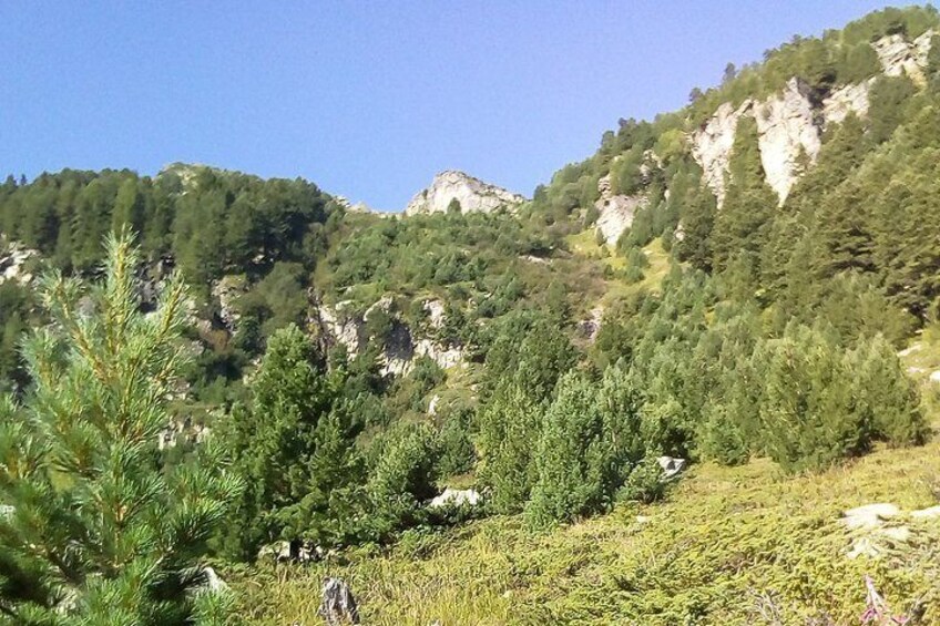 Private Trekking in Rila Mountains and Mt Mousala from Sofia