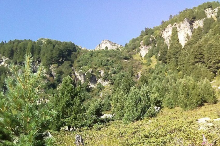 Private Trekking in Rila Mountains and Mt Mousala from Sofia