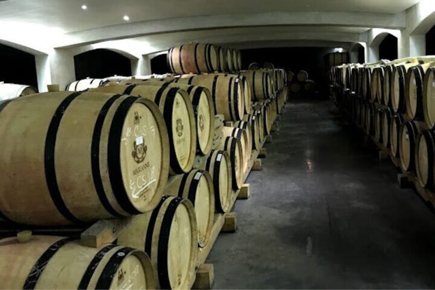 Stellenbosch: Half Day Wine Tour