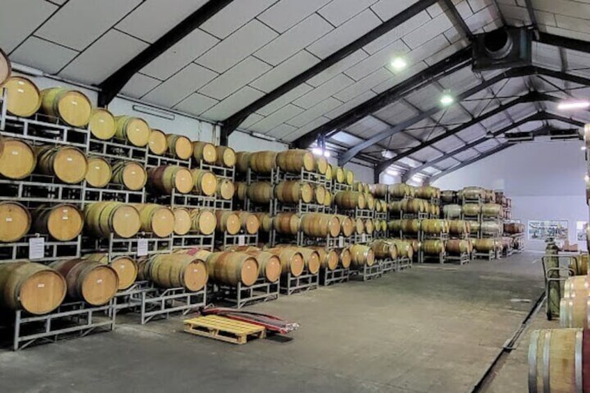 Stellenbosch: Half Day Wine Tour