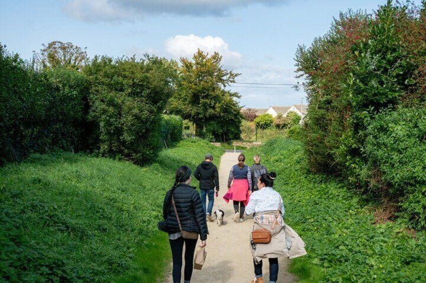 Secret Trails of Howth