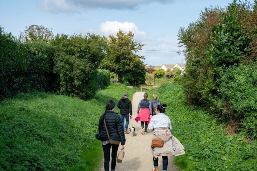 Secret Trails of Howth