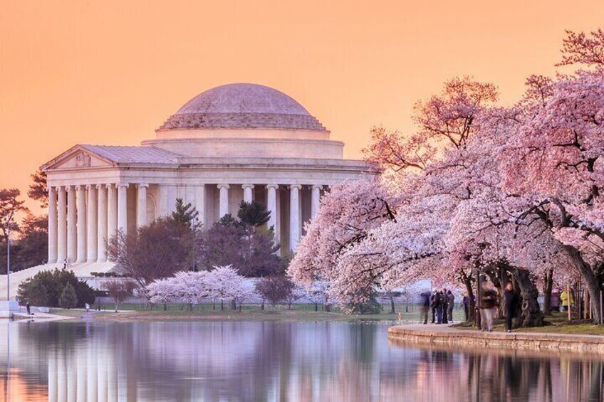 DC Cherry Blossom Tour with Optional Guided Entry into US Capitol