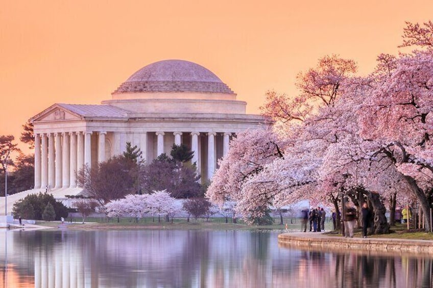 DC Cherry Blossom Tour with Optional Guided Entry into US Capitol