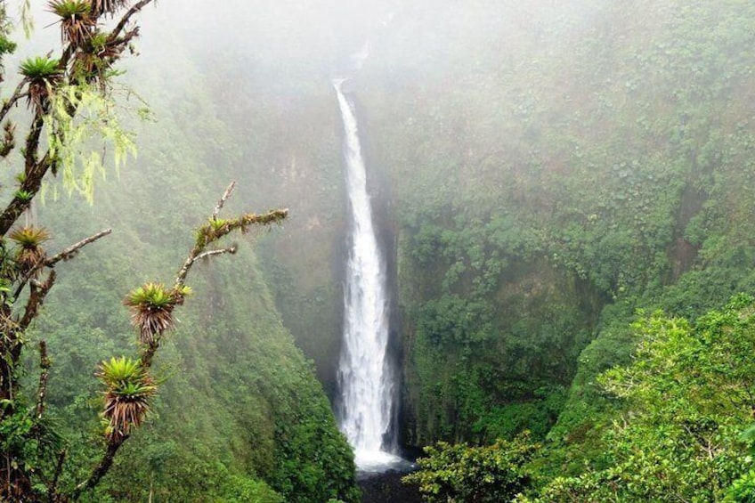 Arenal Volcano Experience Day Trip