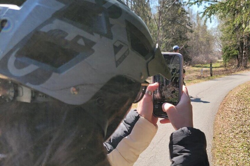 Viator Exclusive: Go eBike Alaska on Tony Knowles Trail