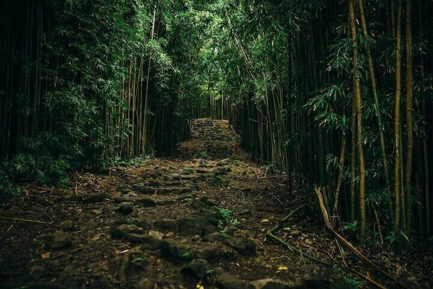 Epic Road to Hana Waterfall Adventure
