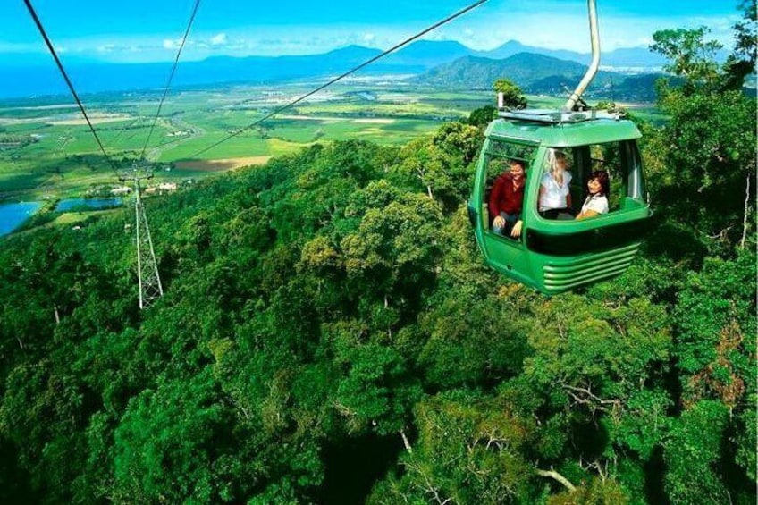 Skyrail Rainforest Cableway