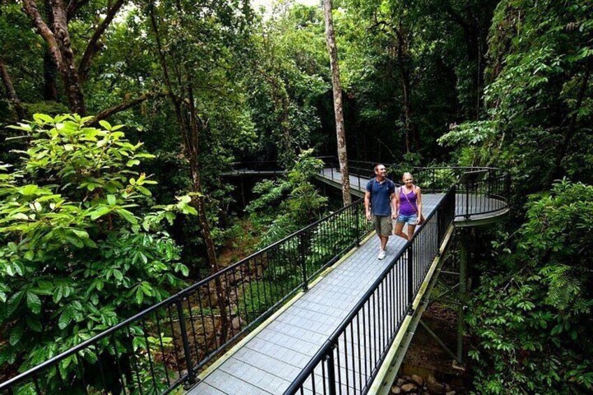 Mossman Gorge Aerial Walk