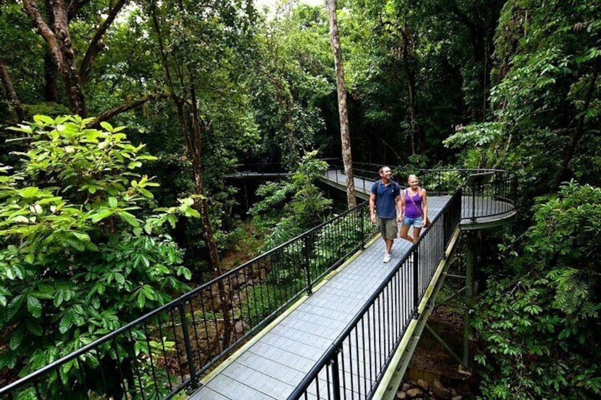 Mossman Gorge Aerial Walk