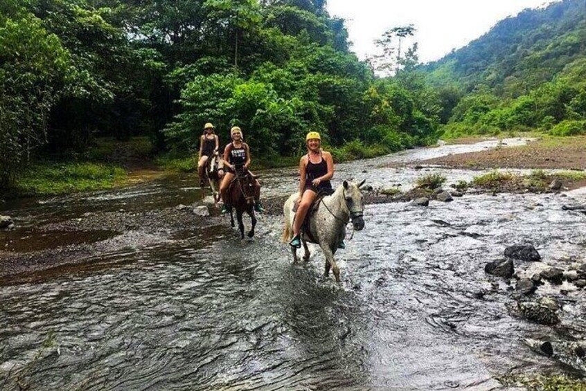 Rainforest Magic Horseback Riding Waterfall Tour Private Park Setting