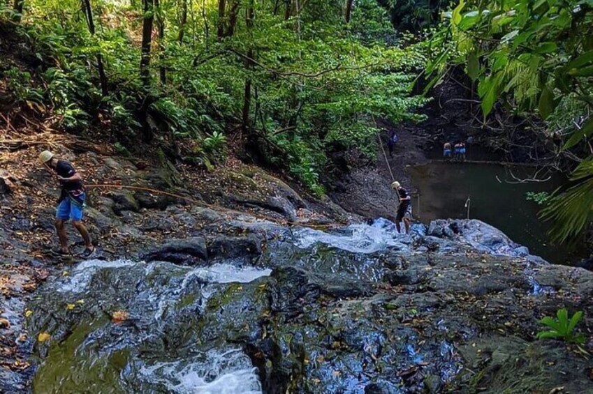 Rainforest Magic Horseback Riding Waterfall Tour Private Park Setting