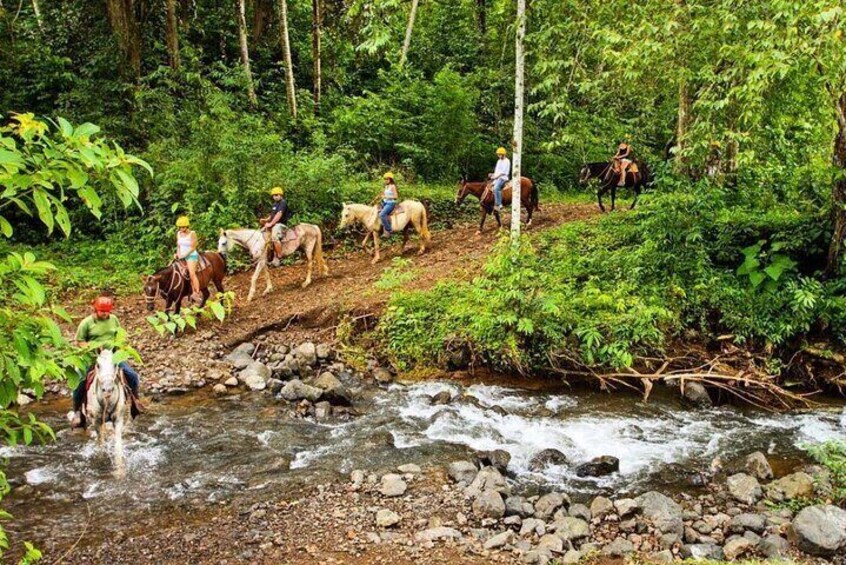 Rainforest Magic Horseback Riding Waterfall Tour Private Park Setting