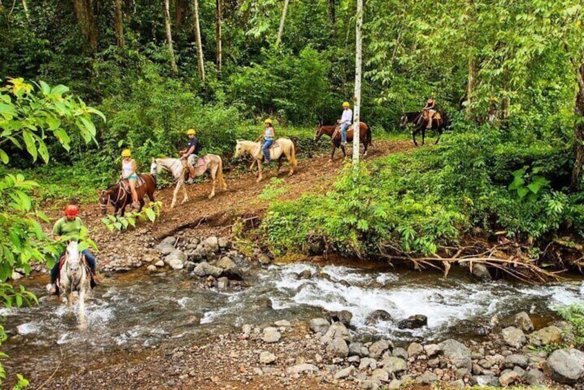 Rainforest Magic Horseback Riding Waterfall Tour Private Park Setting