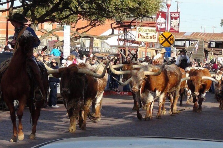 Fort Worth