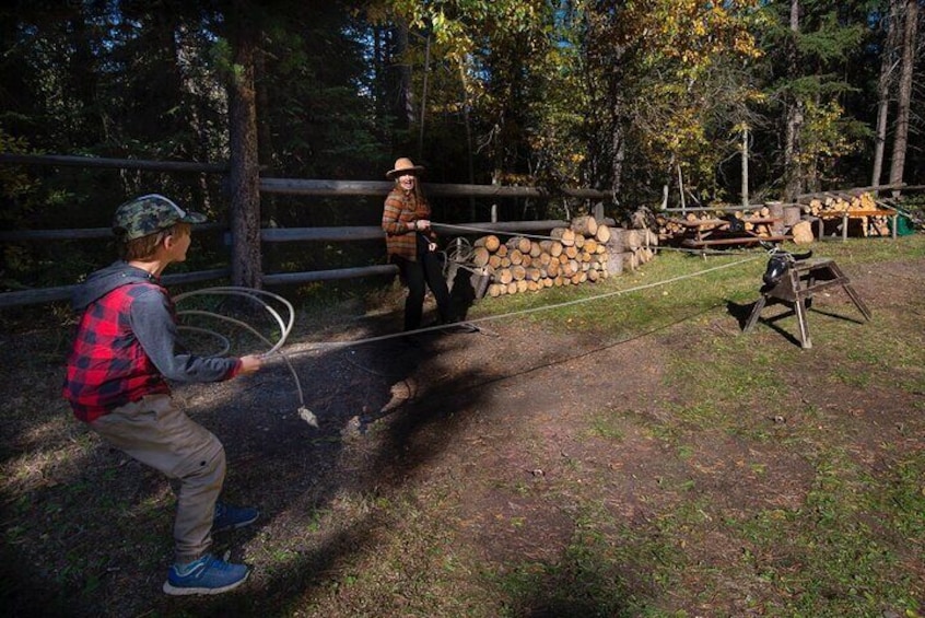 Covered Wagon Ride in Banff with Western Cookout