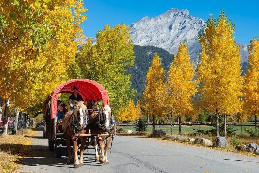The wagon ride 