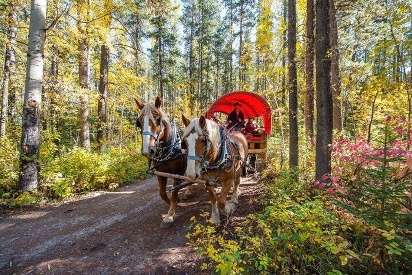 The wagon ride 