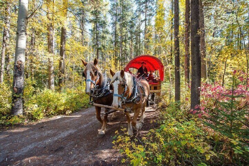 The wagon ride