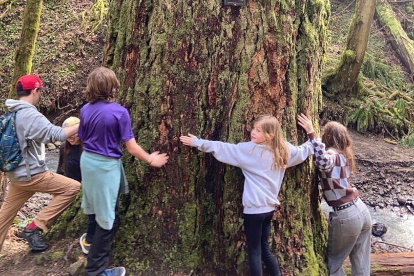 bringing the whole family to the forest!