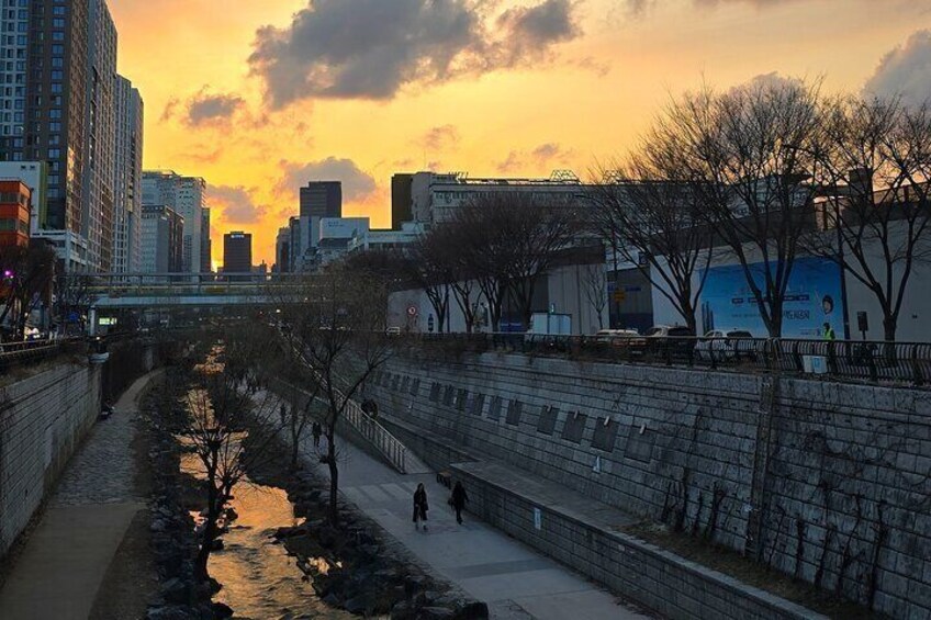 Drinking and Eating through the Alleys of Seoul