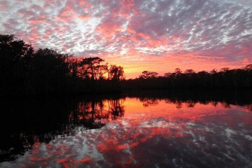 Waccamaw River Nature and Wildlife Tour