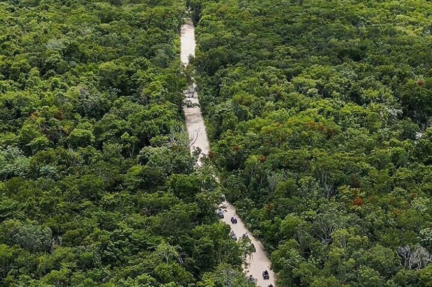 Off Road ATV Tour at the Akumal Monkey Rescued Animals Sanctuary