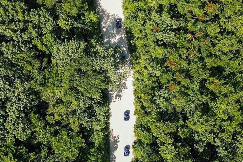 Off Road ATV Tour at the Akumal Monkey Rescued Animals Sanctuary