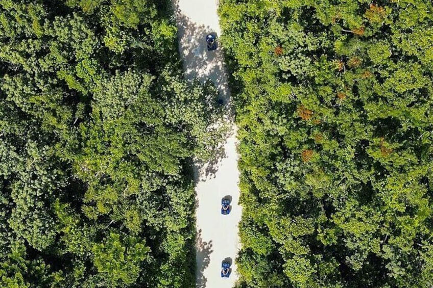 Off Road ATV Tour at the Akumal Monkey Rescued Animals Sanctuary
