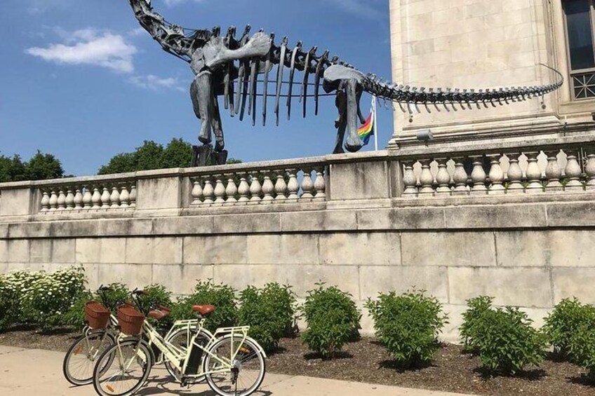 Chicago Lakefront Electric Bike Tour
