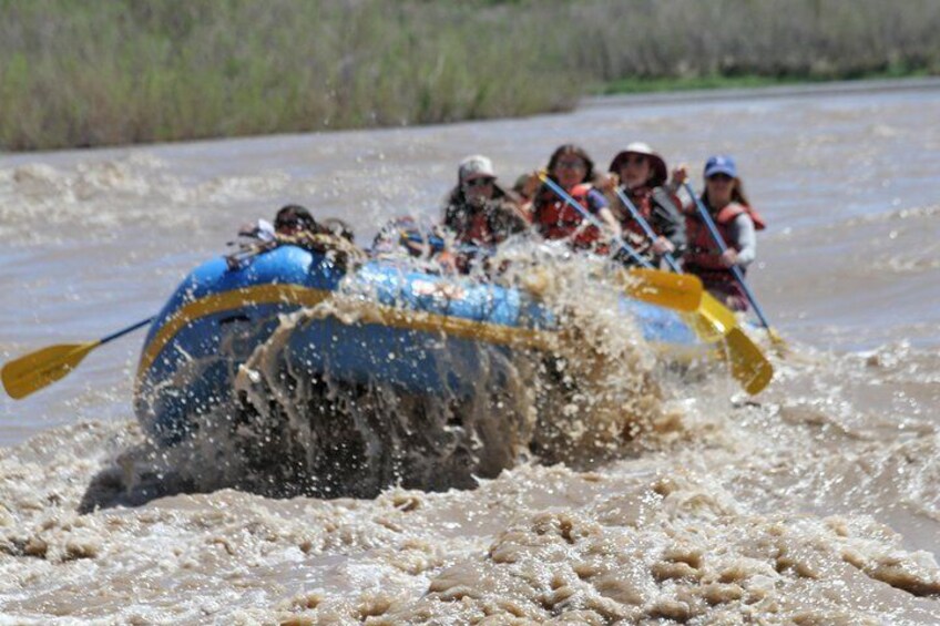 A family fun trip with Paddle Moab.