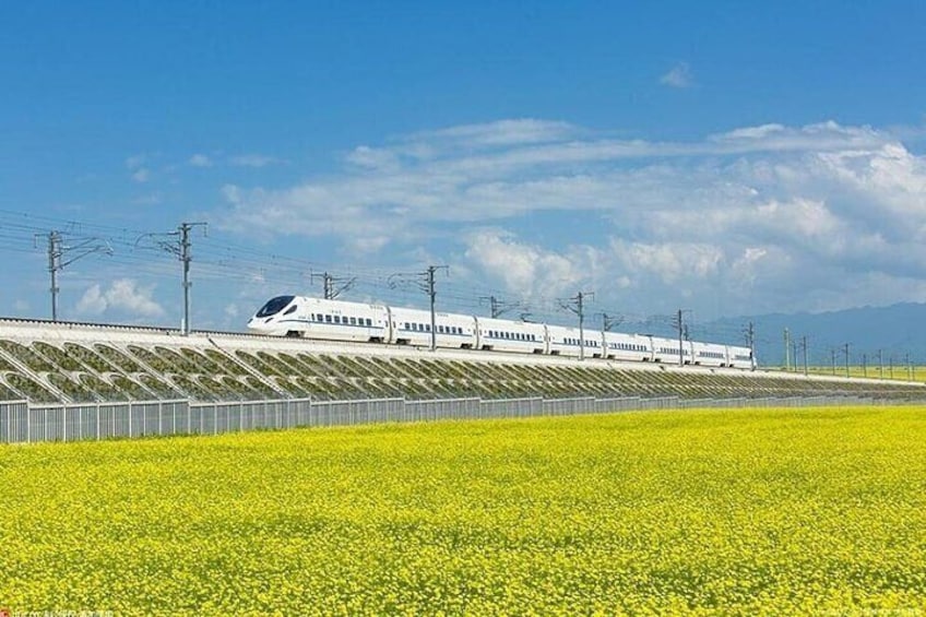 One Day Chengdu Xian Tour by Bullet Train