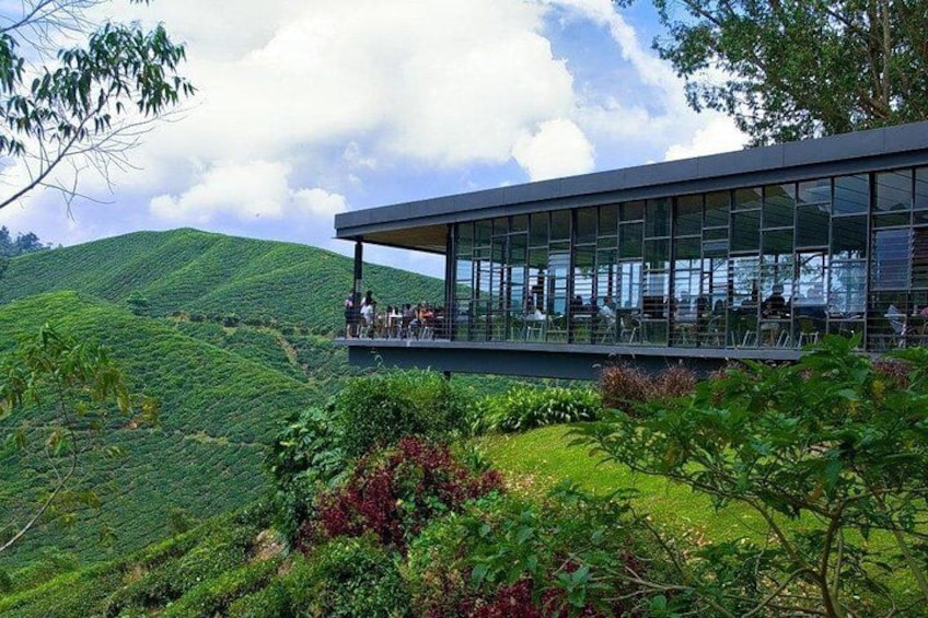 Cameron Highlands