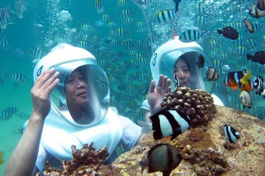 Pattaya : Coral Island tour on speed boat with indian lunch pick up from hotel