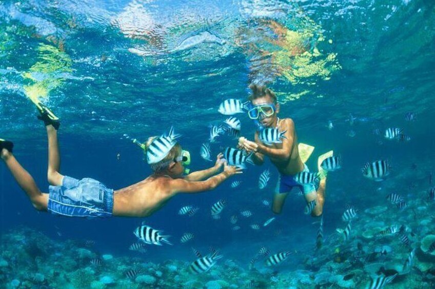 Phi Phi Day Tour with Seaview Lunch