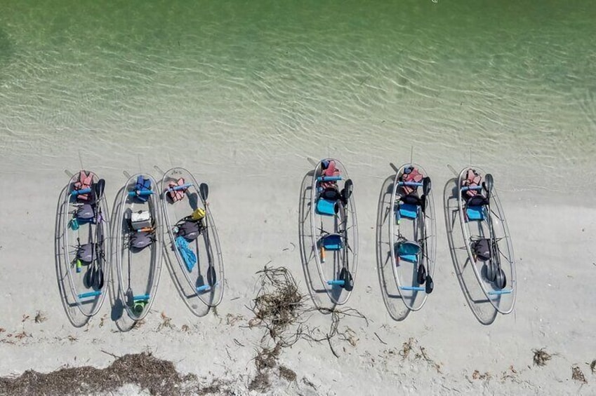 Lined up for adventure