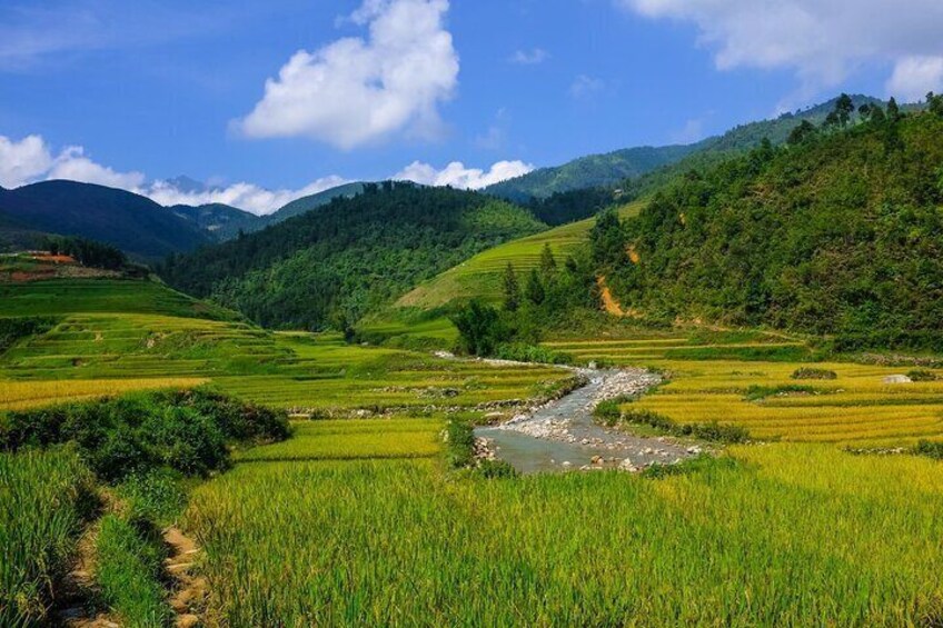The best view and most authentic tour in Sapa