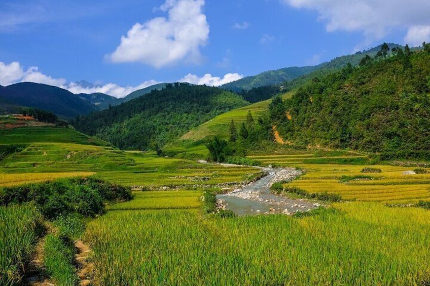 The best view and most authentic tour in Sapa