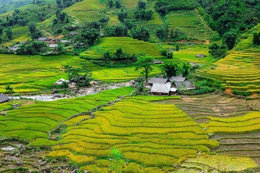 The best view and most authentic tour in Sapa