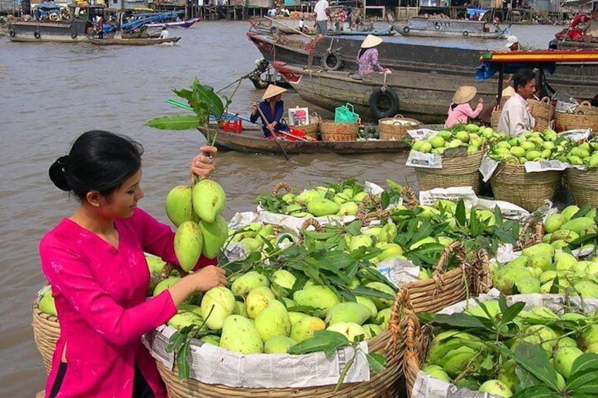 Cai Rang Floating Market & Mekong Delta Private Tour from HCM city
