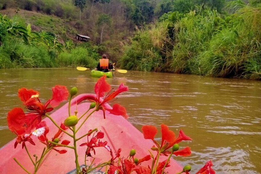 Full-Day Chiang Dao Kayaking, Caving, and Jungle Tour from Chiang Mai
