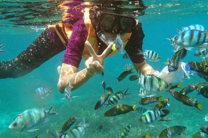 Real snorkel trip to explore Cham island by speedboat-SMALL GROUP